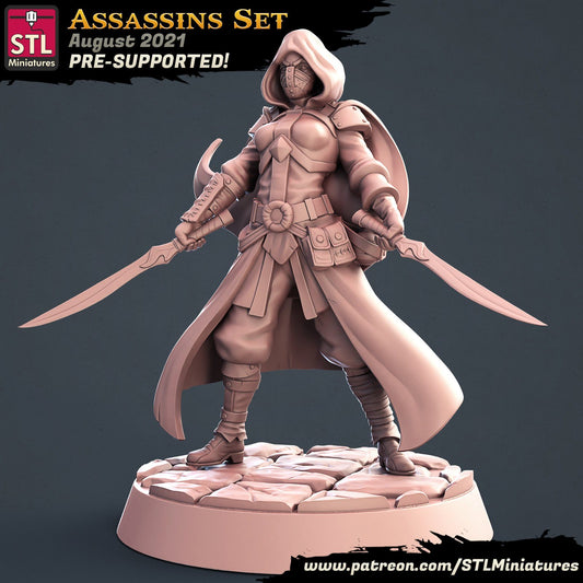 Assassin A STL Miniatures D&D TABLETOP GAMING MINIATURES Border3d 