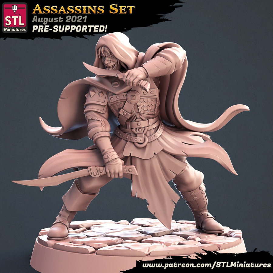 Assassin C STL Miniatures D&D TABLETOP GAMING MINIATURES Border3d 