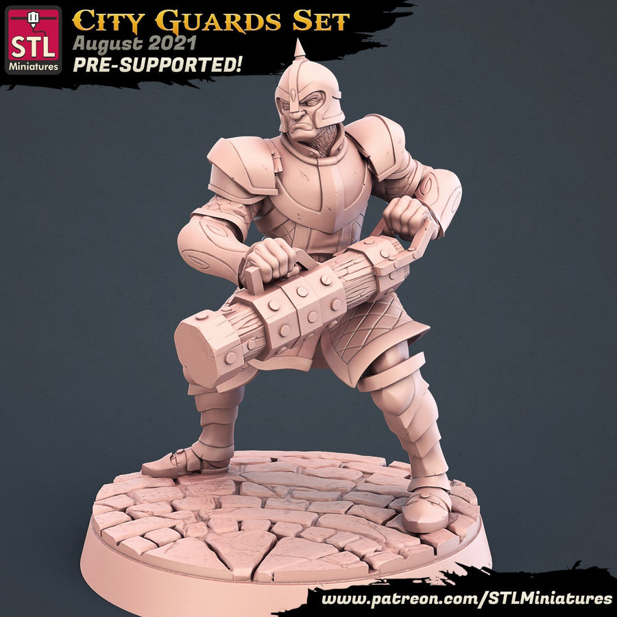 City Guard D STL Miniatures D&D TABLETOP GAMING MINIATURES Border3d 