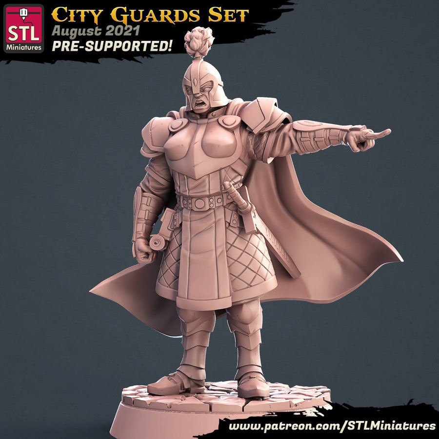 City Guards Commander STL Miniatures D&D TABLETOP GAMING MINIATURES Border3d 