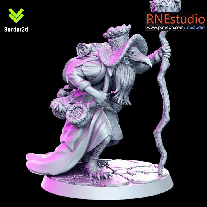 Dhrameek - Bird Druid - 32mm - DnD RN Estudio D&D TABLETOP GAMING MINIATURES Border3d 